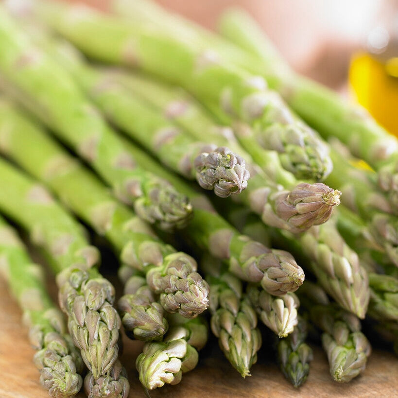 Sparris-Asparagus Viridis 2-pack